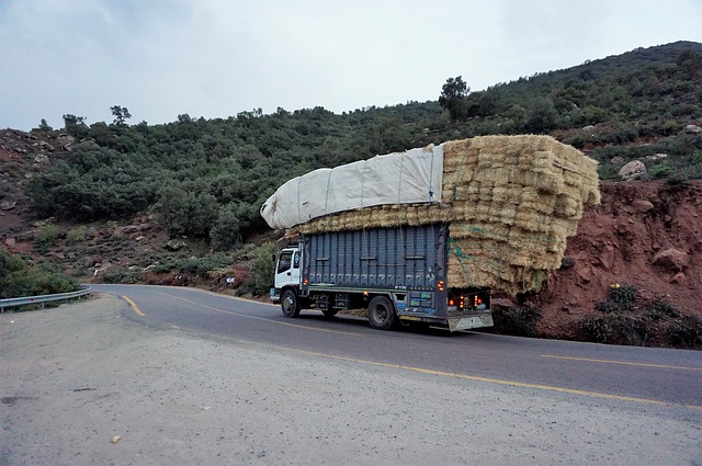 Panne de poids lourd sur autoroute : Ce qu'il faut faire